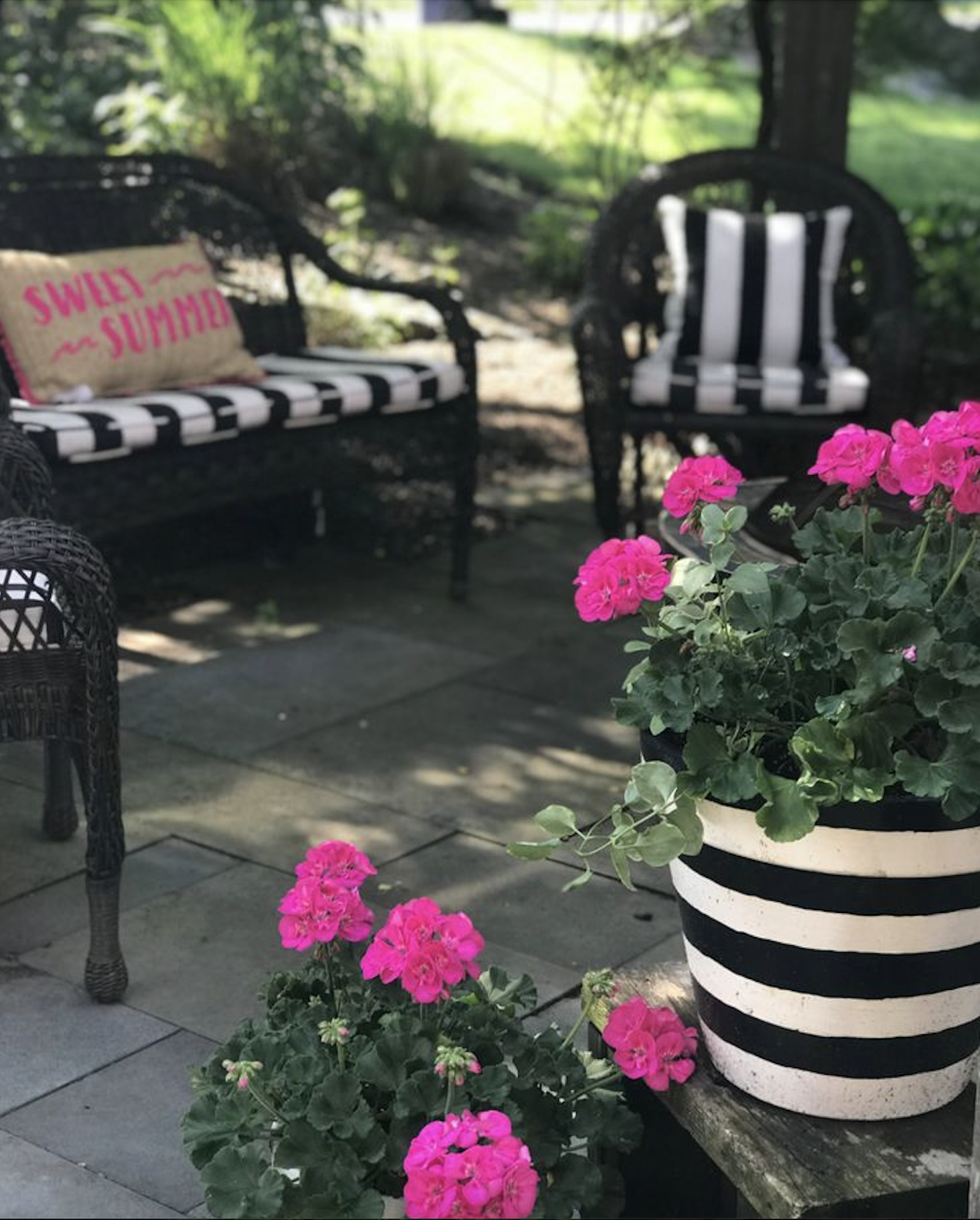 black and white striped garden pots