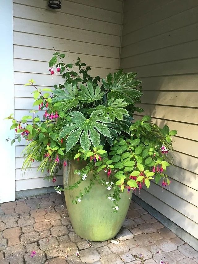large green planter