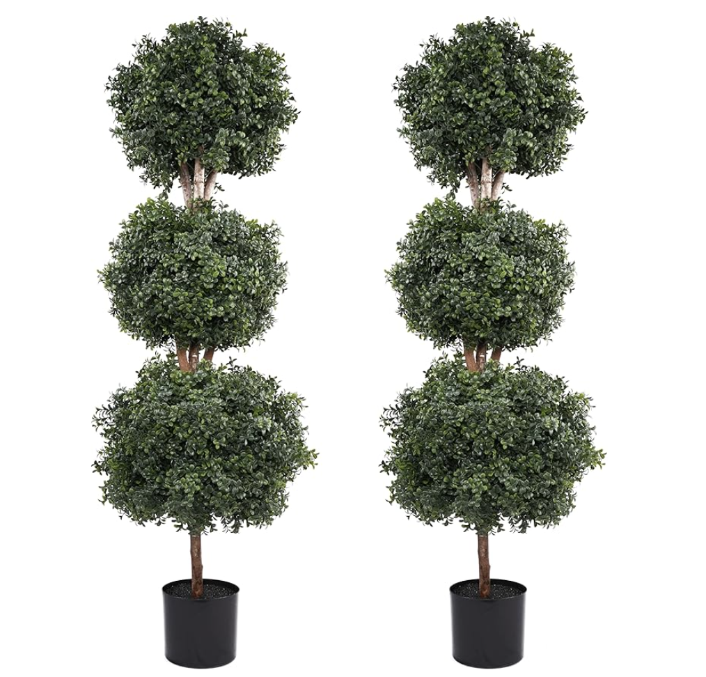 faux boxwood