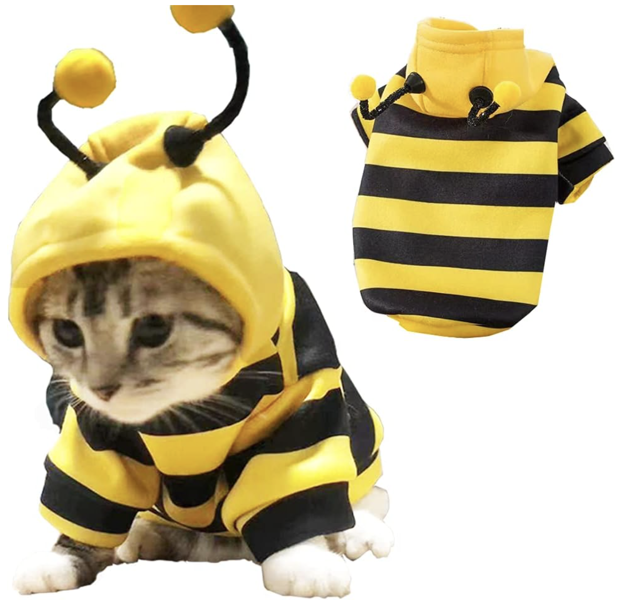 cat bee costume