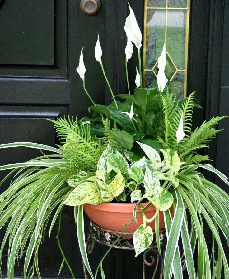 green container planter