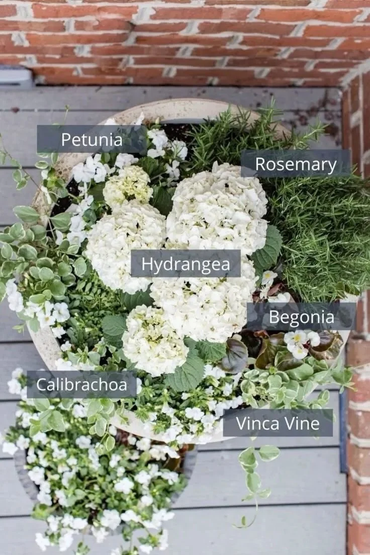 container ideas