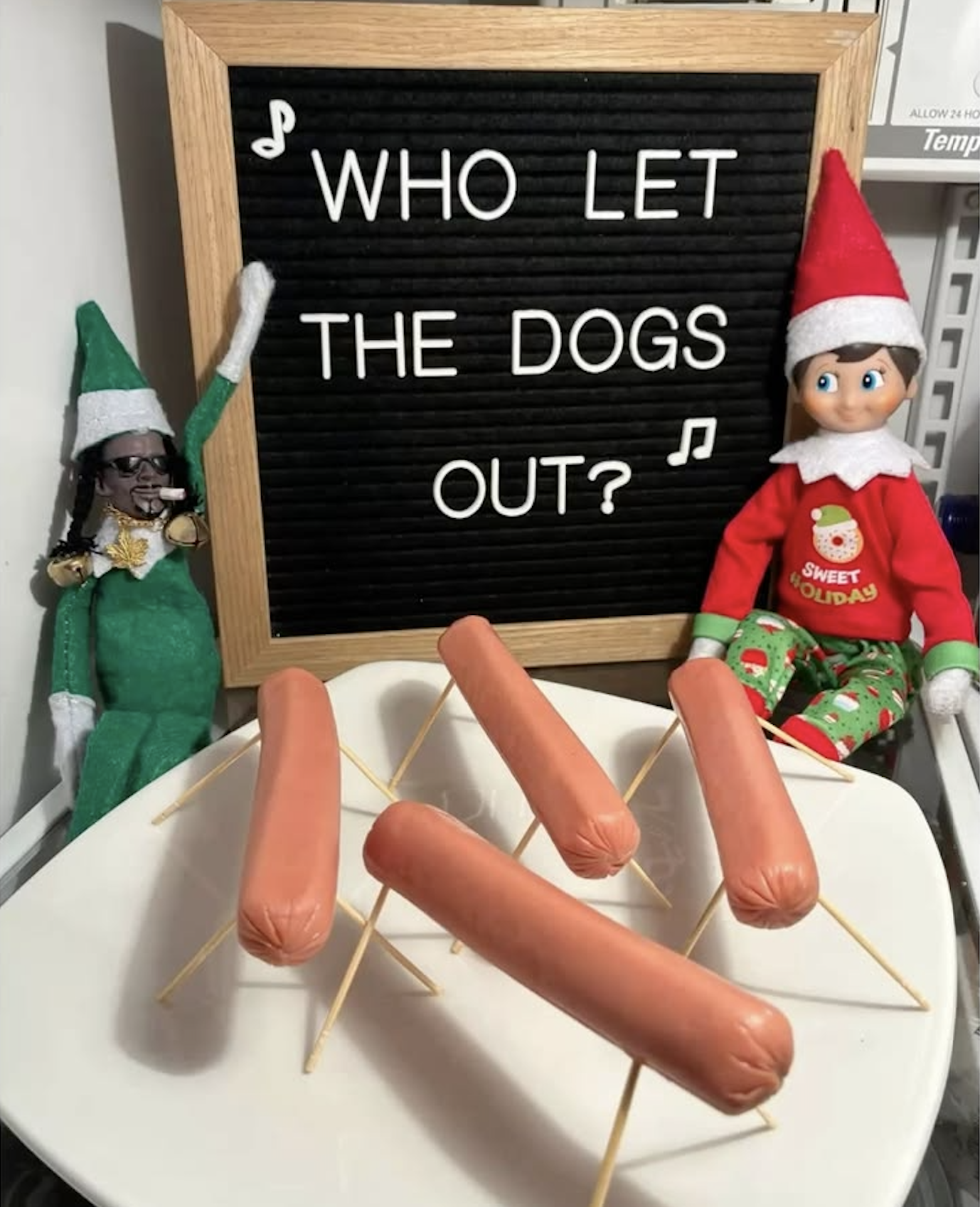 Who let the dogs out Snoop Dog Elf