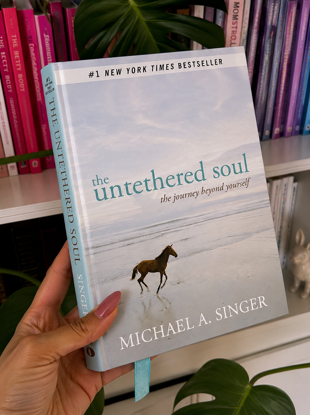 the untethered soul book
