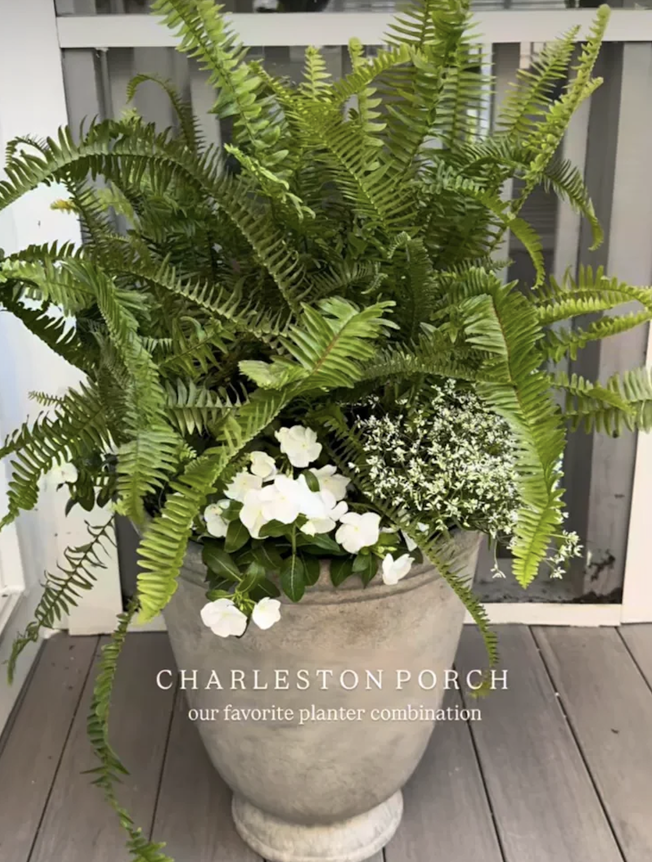 45+ Genius Front Door Planter Ideas (Plus Tips, Tricks & DIY Know-How)