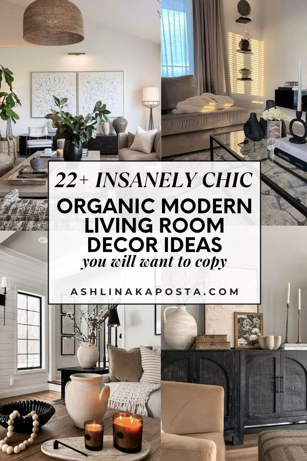 22+ Earth Toned Organic Modern Living Rooms You Will Love ( In 2026 ...