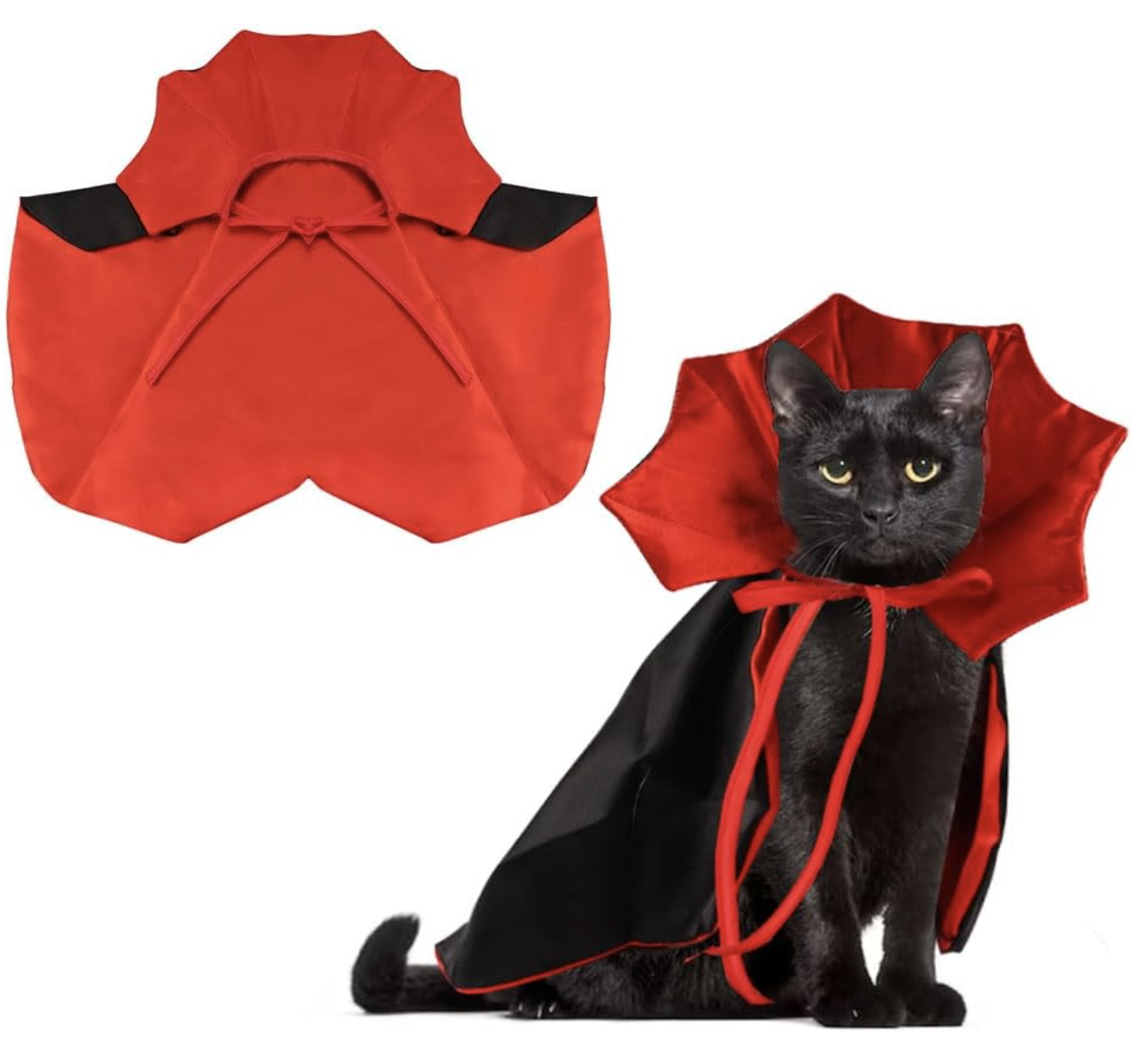 vampire cat costume