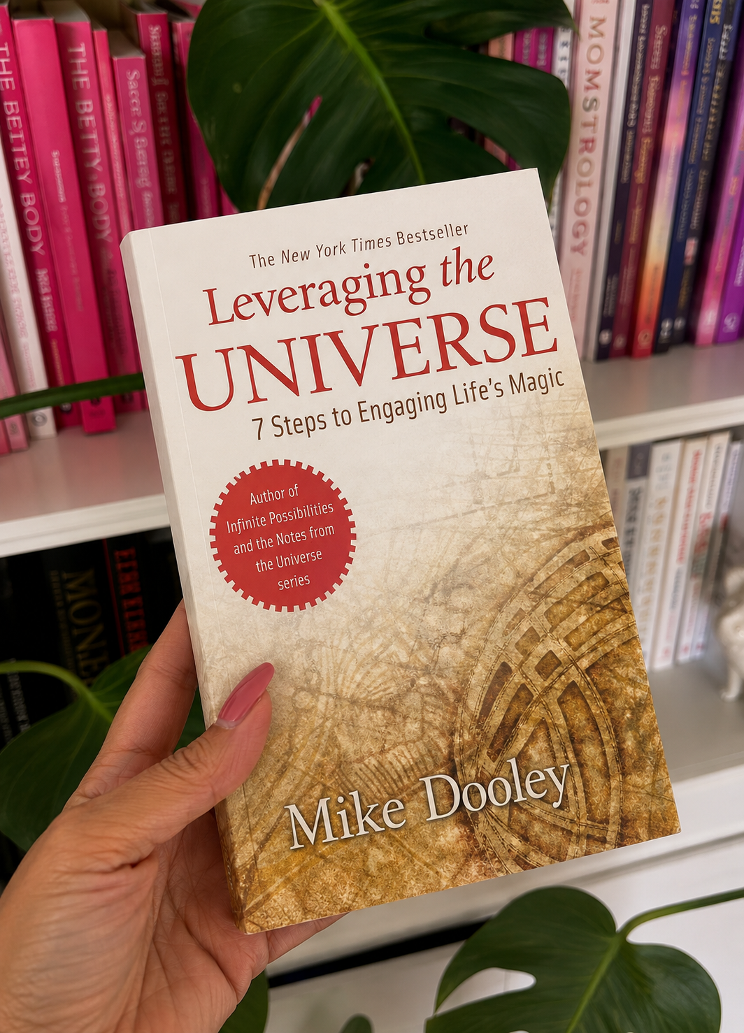 leveraging the universe mike dooley