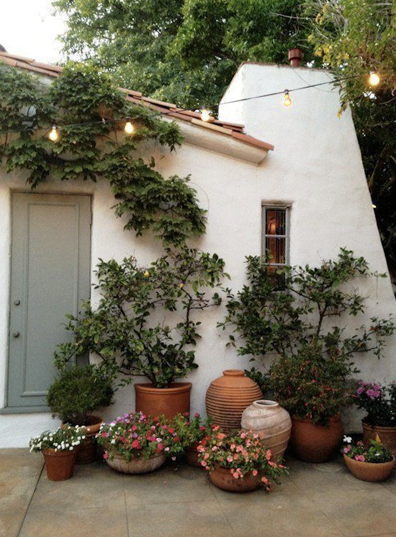terracotta planters