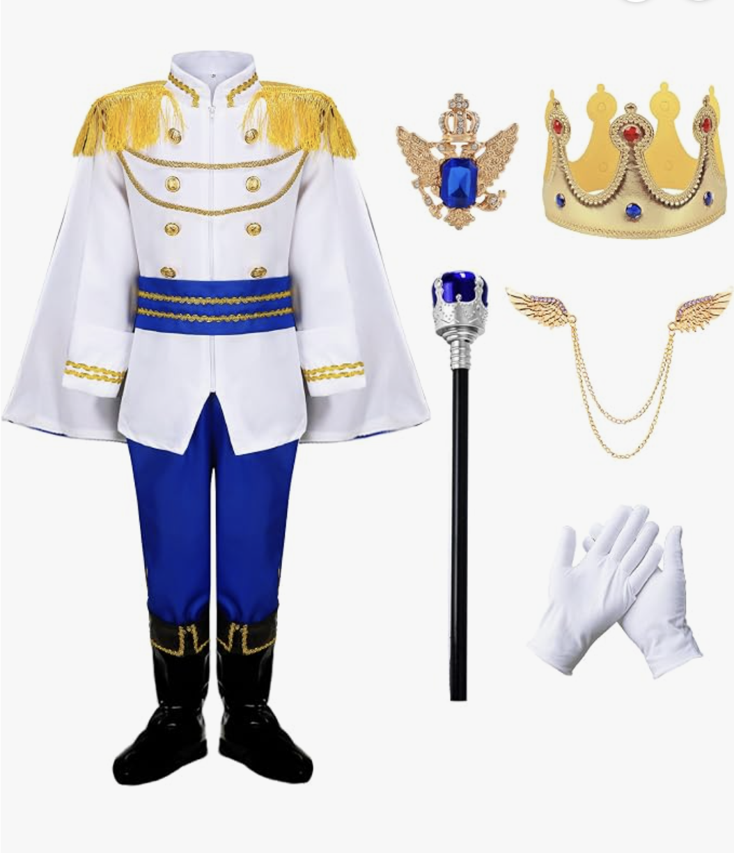 boy prince charming costume