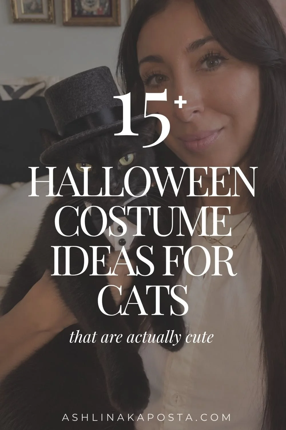 15+ halloween costume ideas for cats.jpg