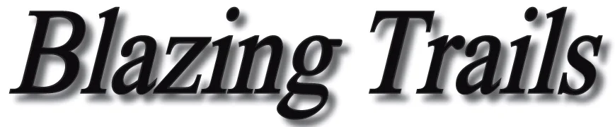 BT Logo.jpg