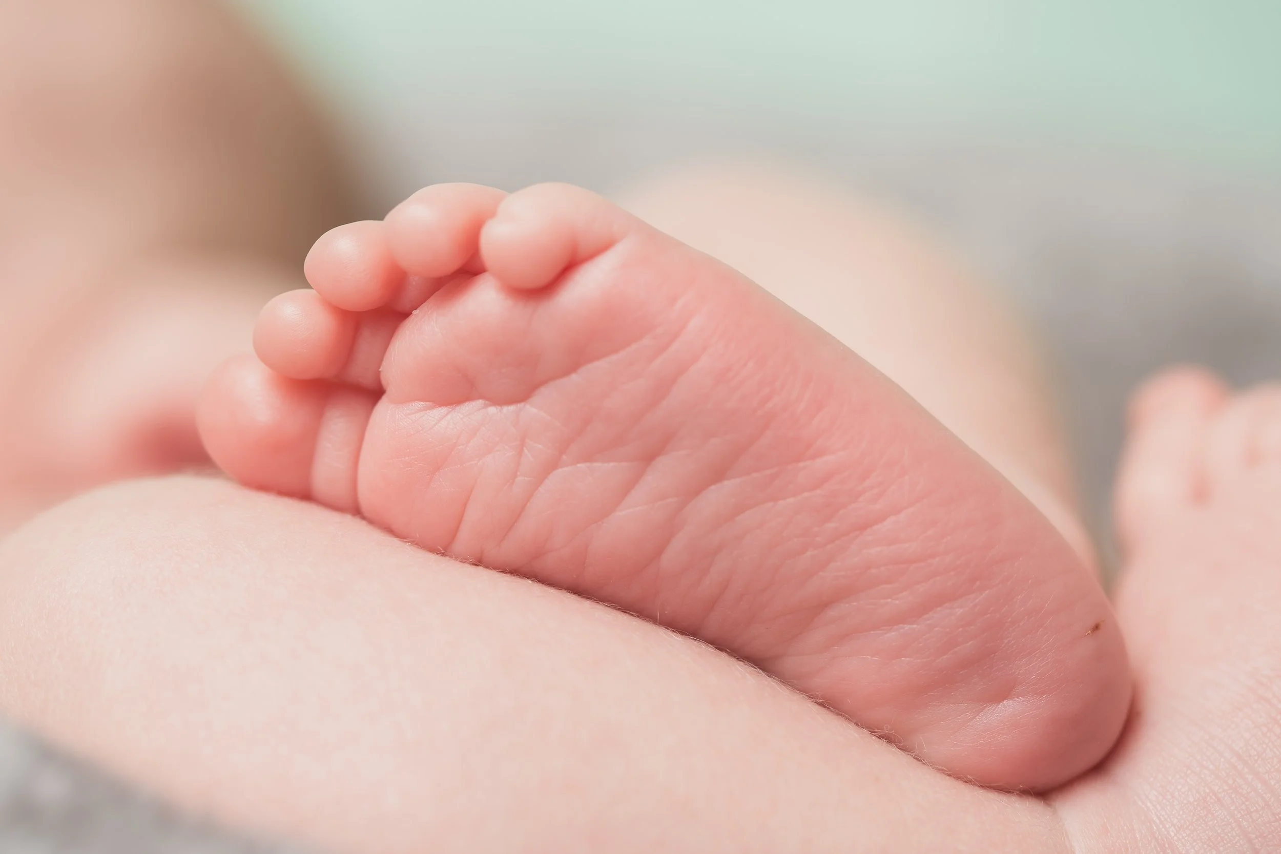 jax_newborn-029.jpg