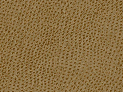 EcoSkins - Birch