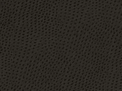 EcoSkins - Charcoal