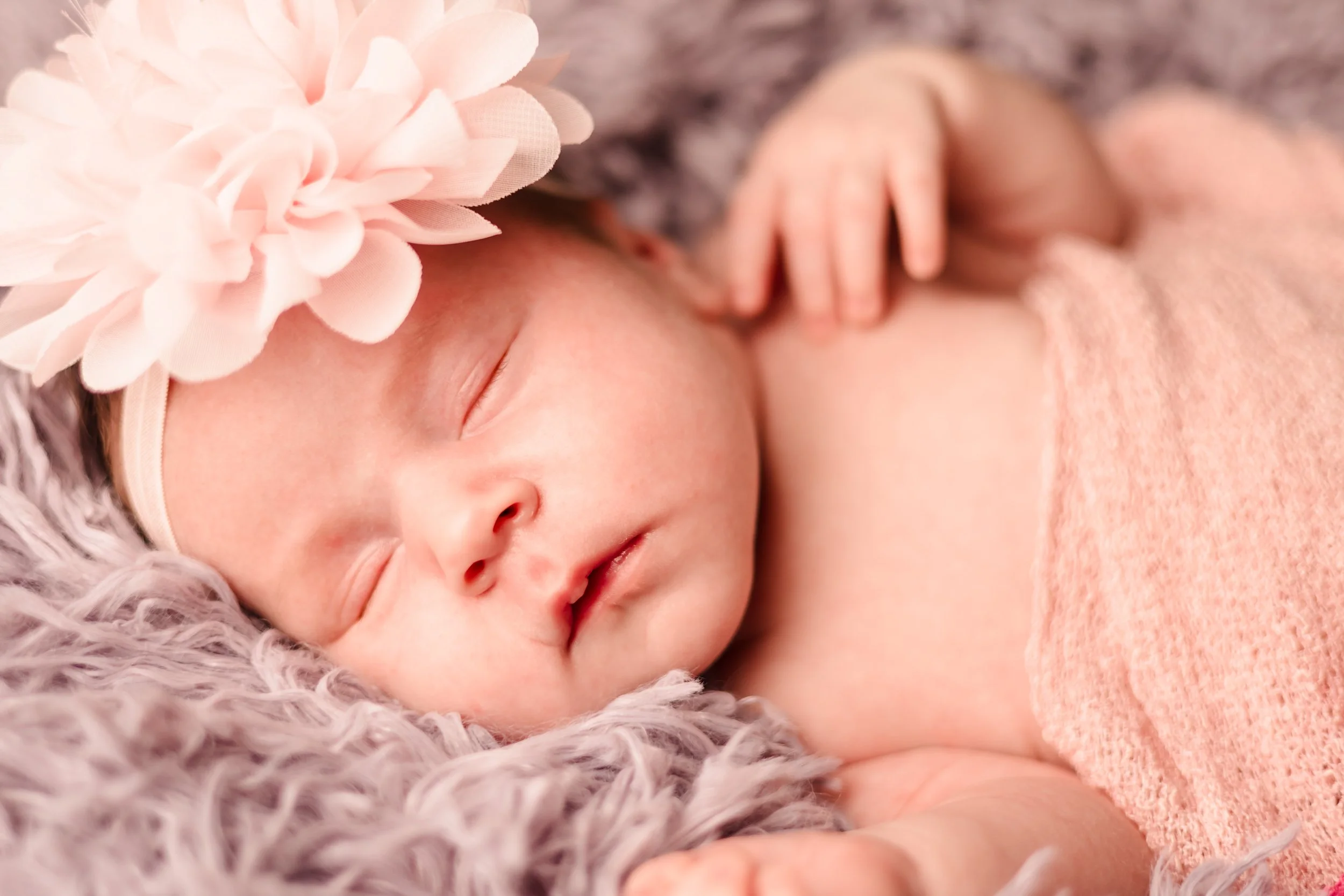 0813-kinsey-gummelt-226.jpg