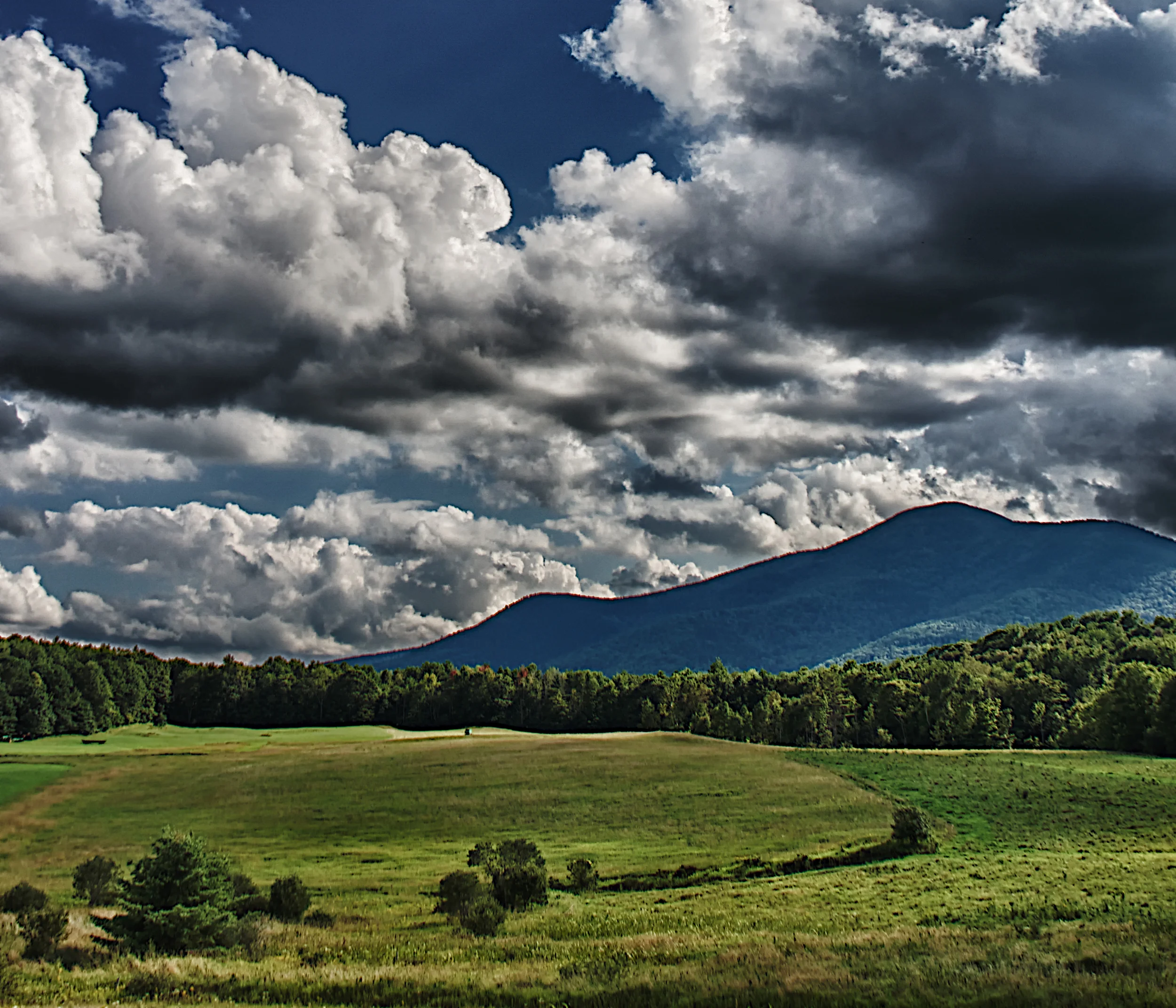 Cutting in the Valley p_48.jpg