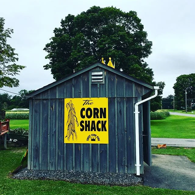 Corn, Zucchini, and Patty Pan. 
Visit us soon while these luscious veggies are farm fresh and in season !🌽
.
.
.
#farmfresh #vegetables #homegrown #farms #veggies #corn #uppervalley #vermont #vermontlife #rural #countryside #nature #green #organic #