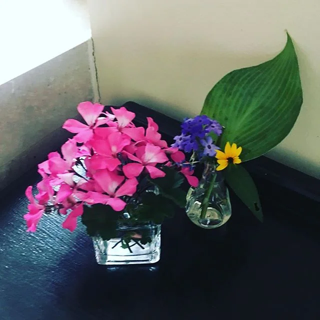 Little corners of summer cheer will greet you at the Inn. Visit soon!
.
.
.
#summer #cheer #brightness #light #flowers #garden #birdlife #lakes #mountains #nature #relax #timeout #getaway #tripadvisor