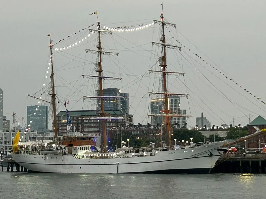 Cruise 4.jpeg
