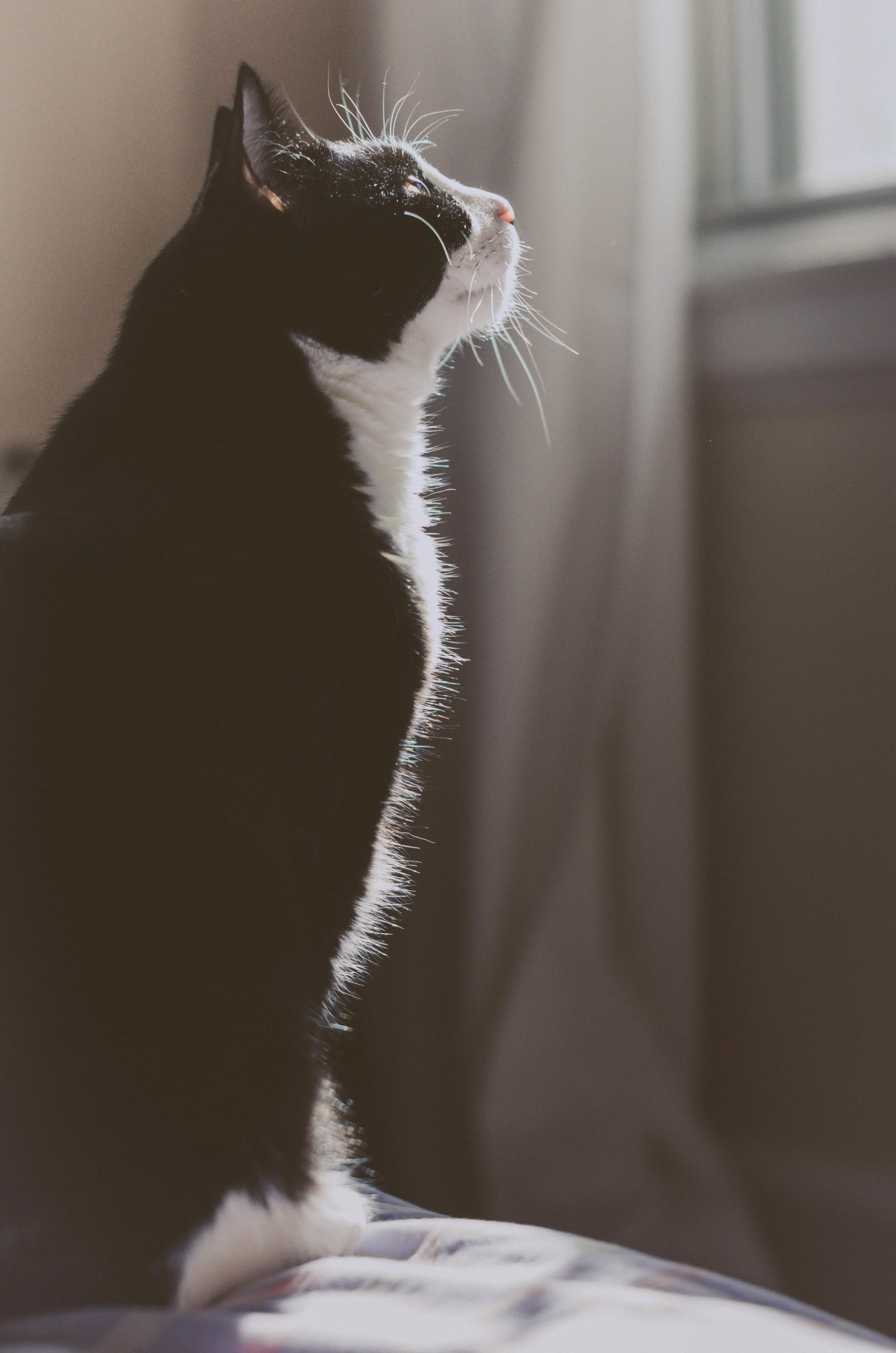 DSC_9782.jpg