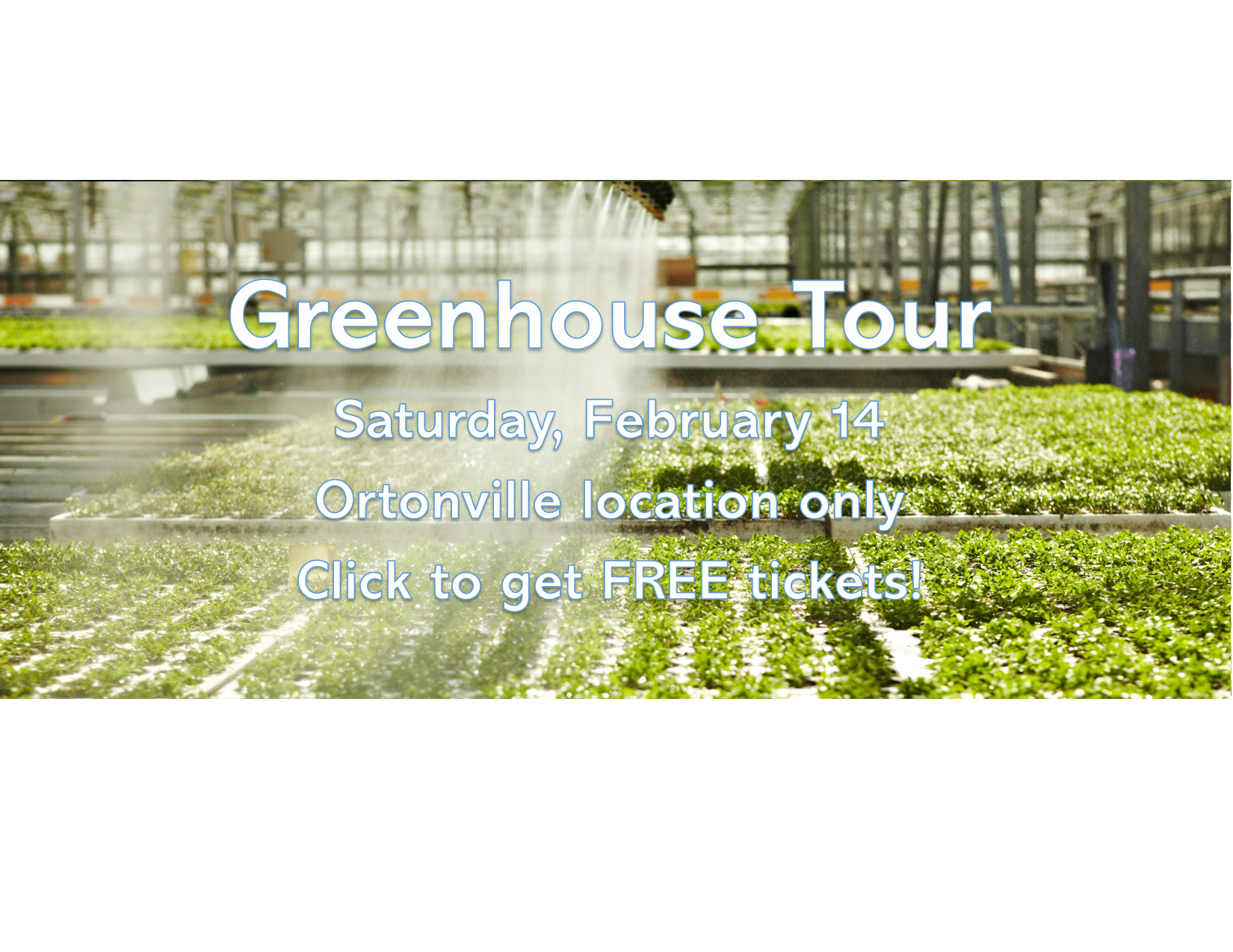 Website Banner for February 2026.png