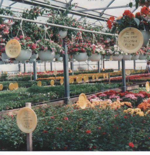 Our Story — WOJOS GREENHOUSE