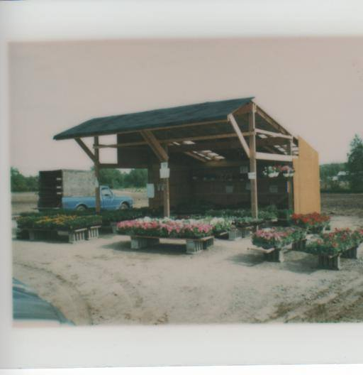 Our Story — Wojo's Greenhouse