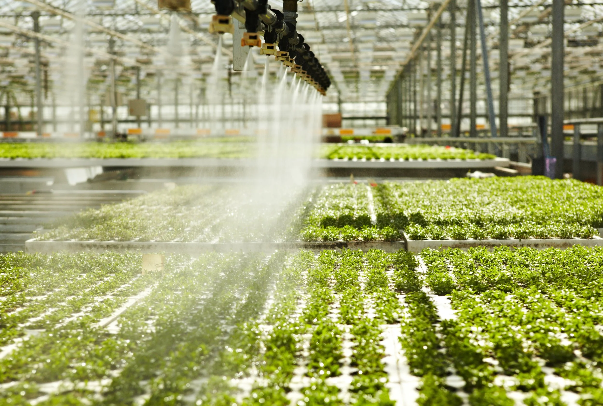 Greenhouse Tour Series | 1