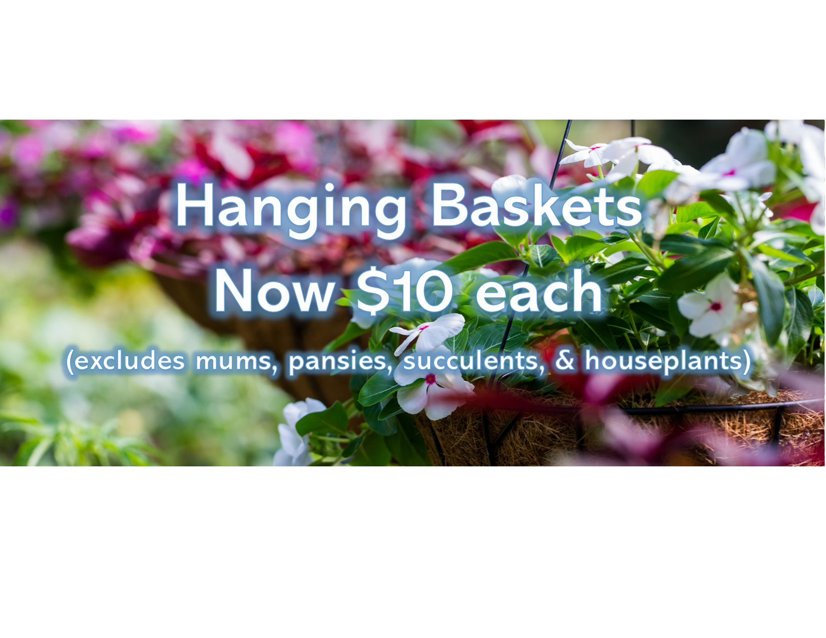 Website Banner for August 2026.png