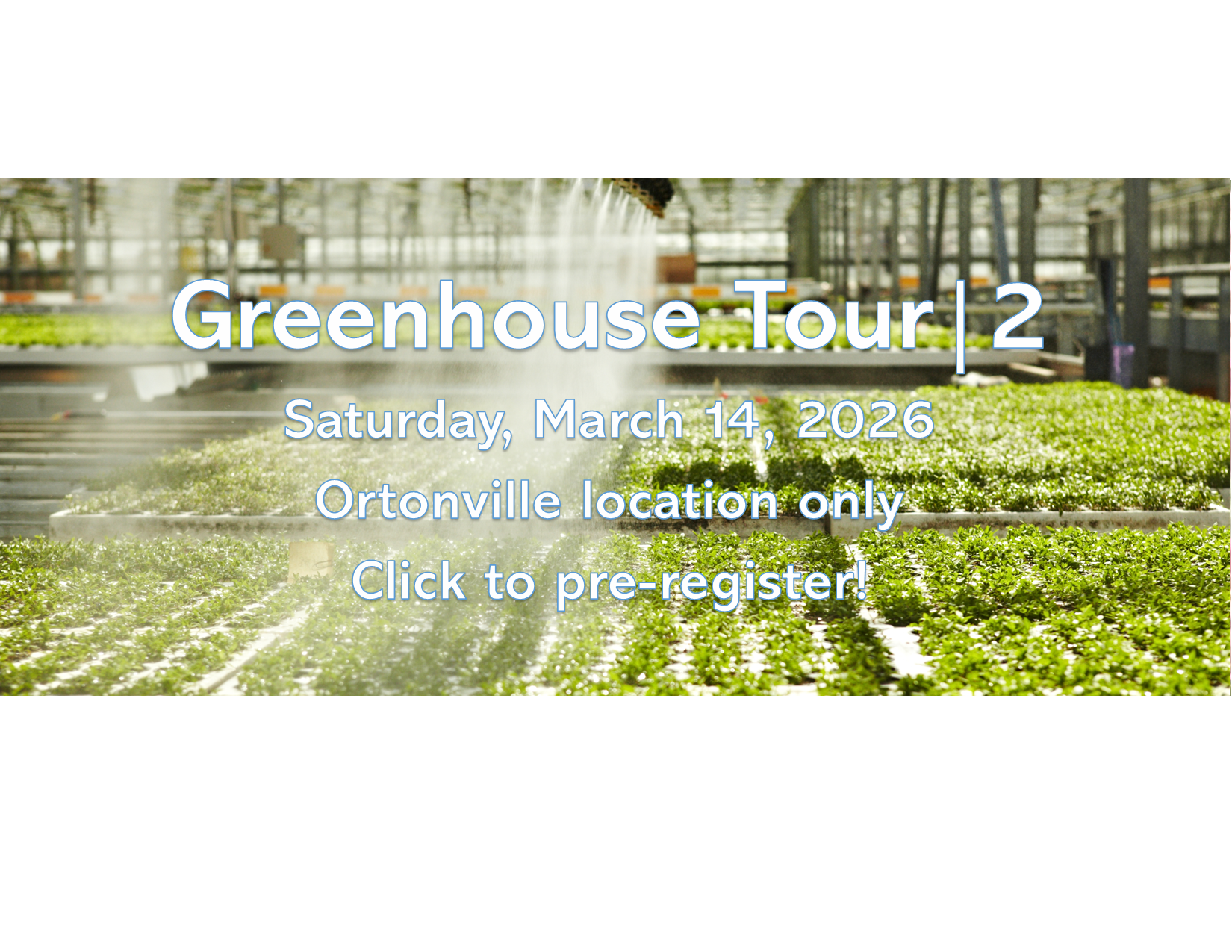 Website Banner for February 2026.png