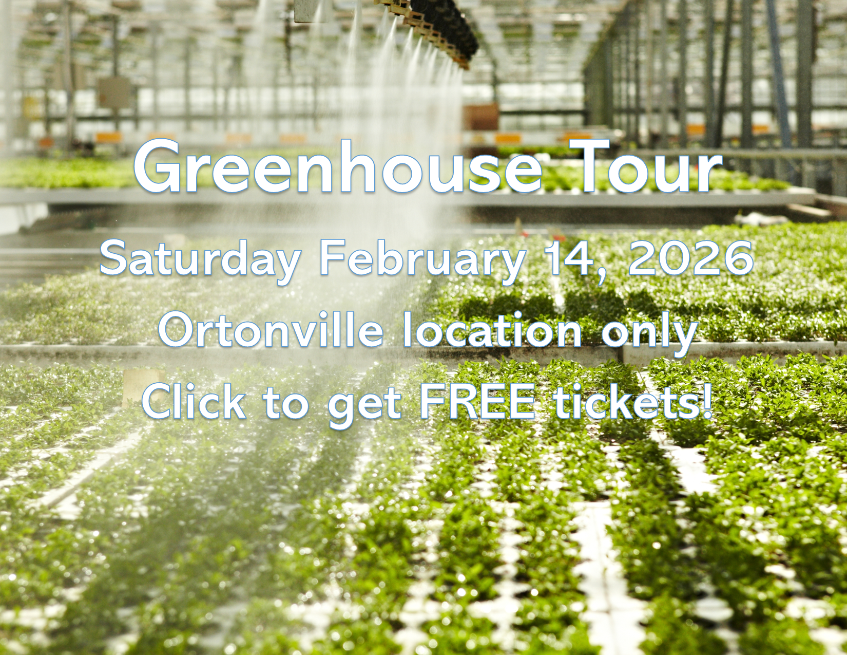 Website Banner for February 2026 Mobile.png