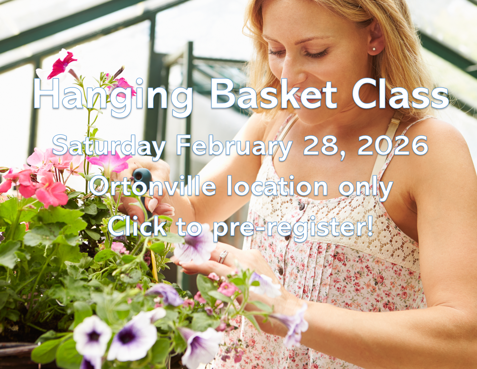 Website Banner for February 2026 Mobile.png