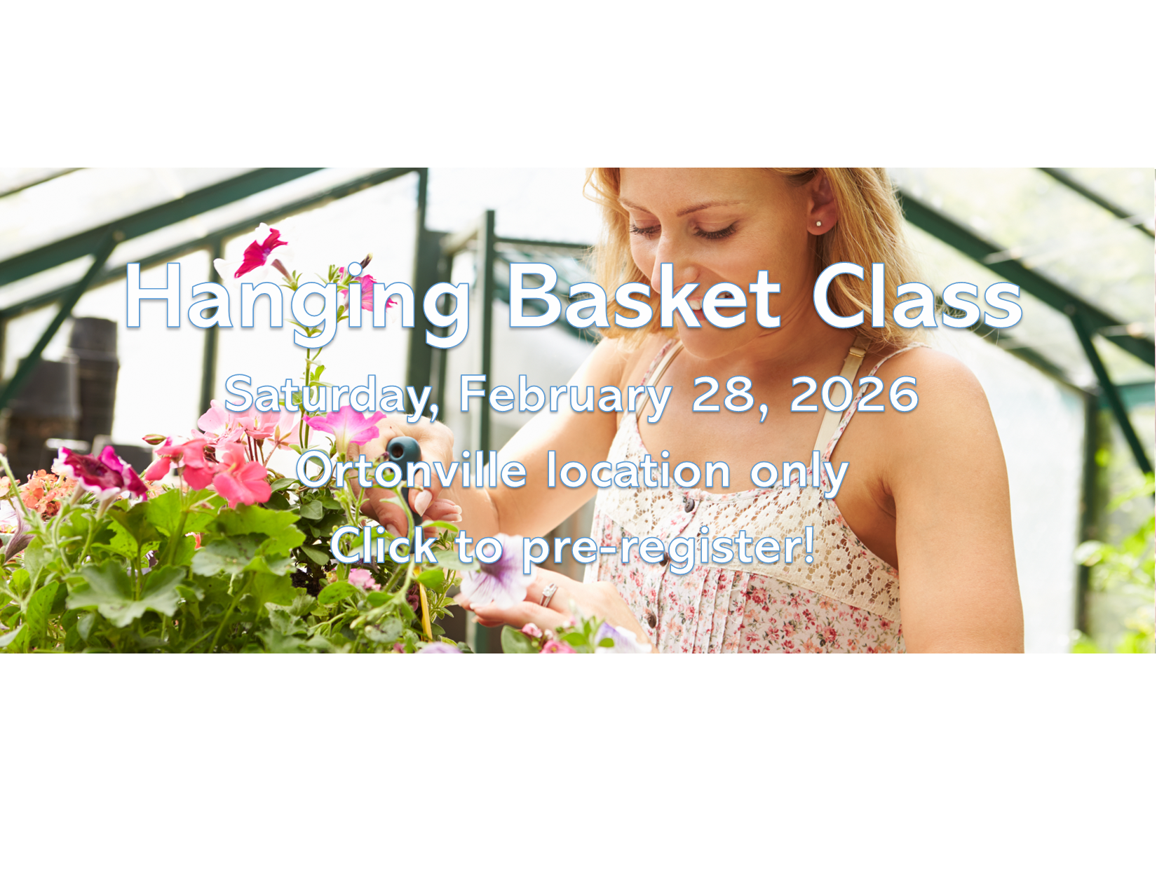 Website Banner for February 2026.png