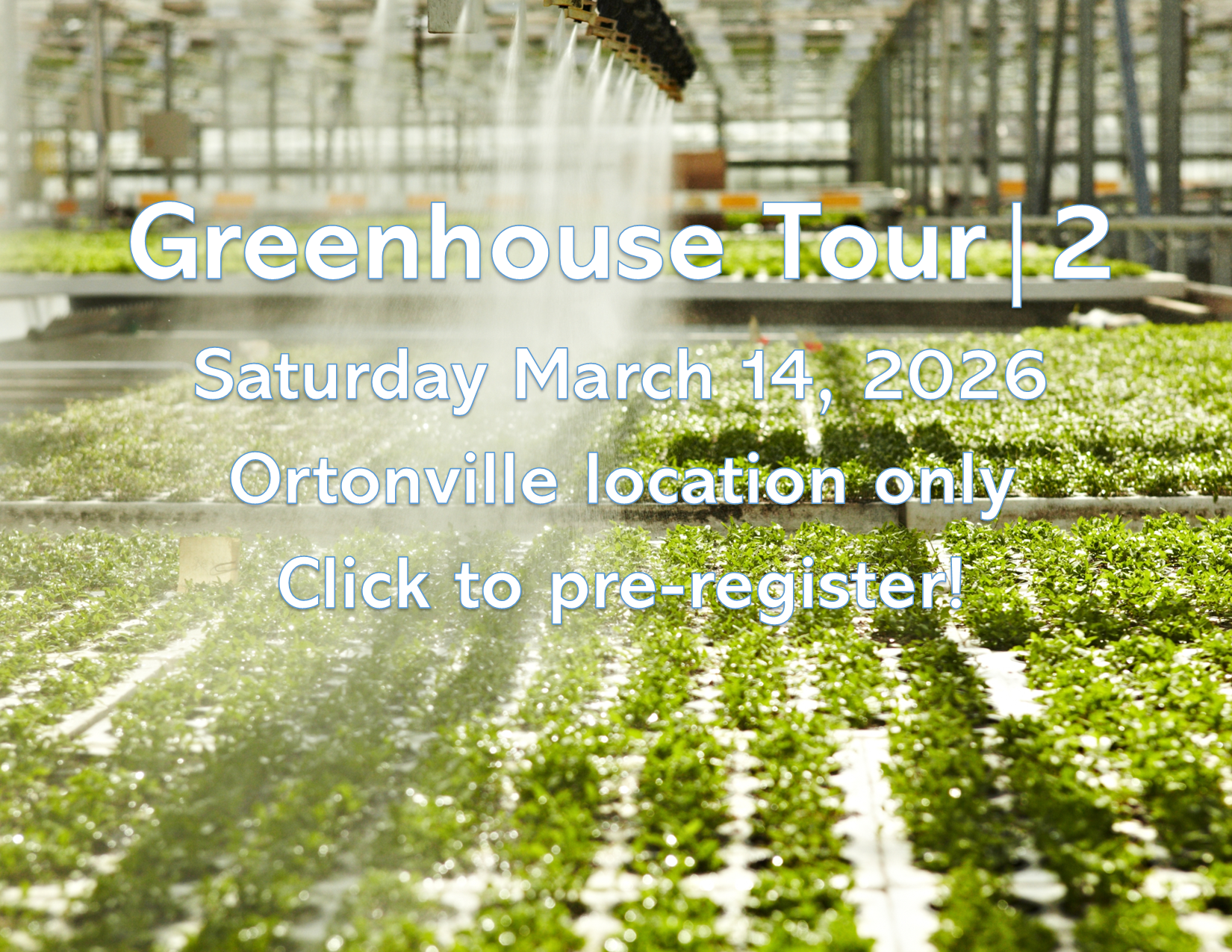 Website Banner for February 2026.pub.png