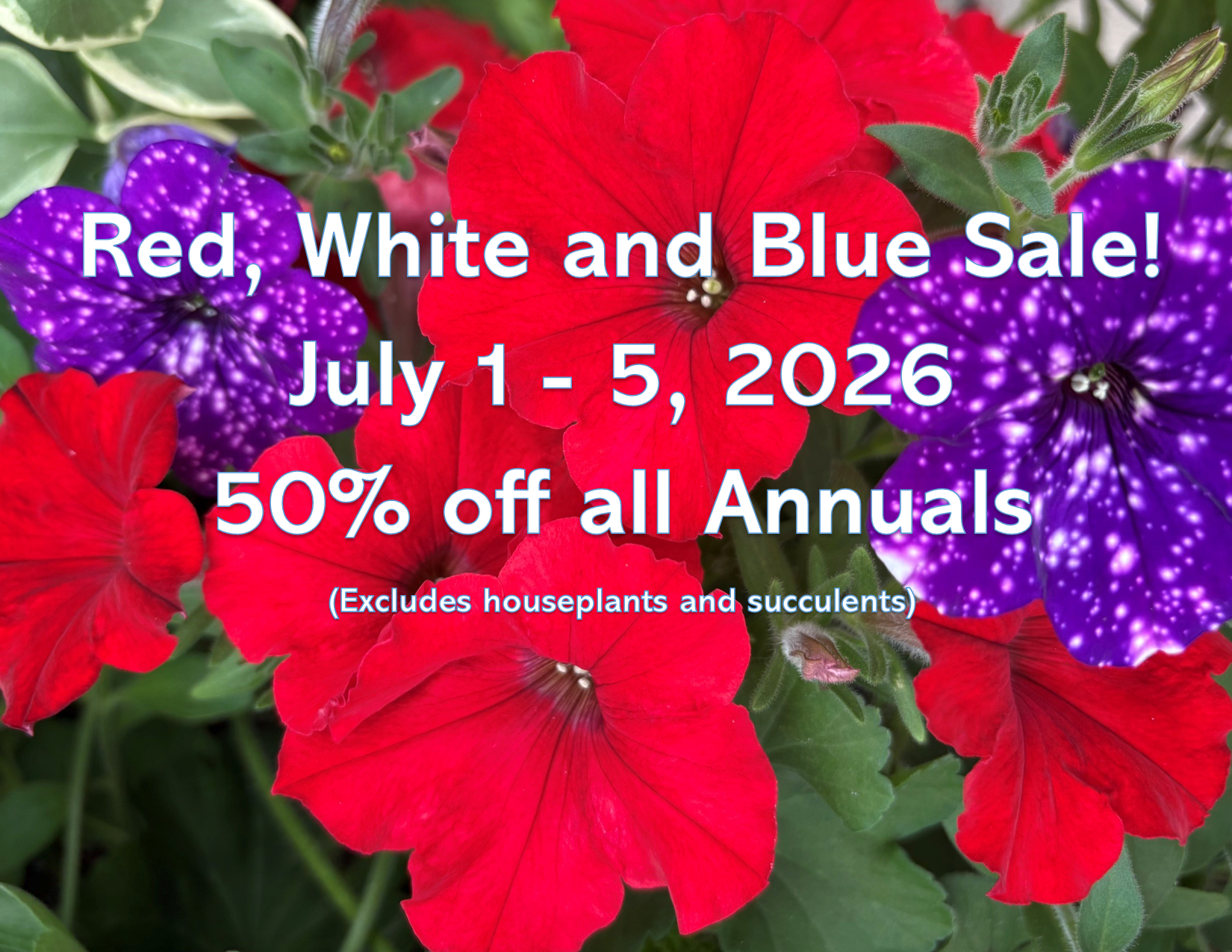 Website Banner for July 2026 Mobile.png