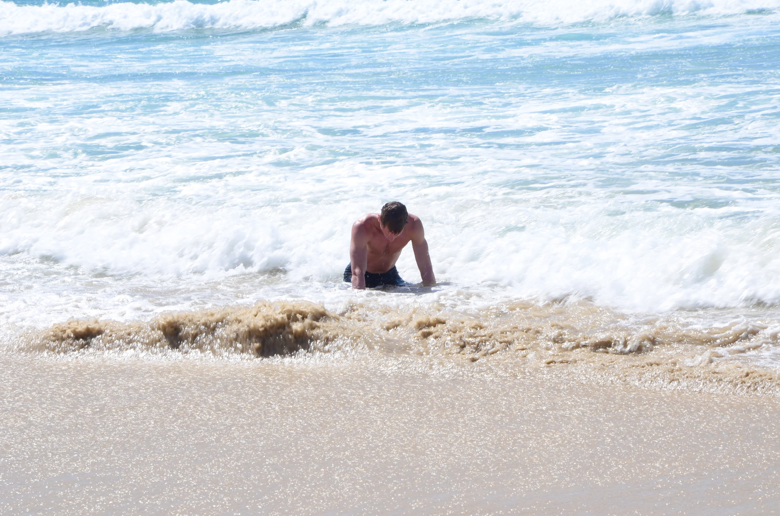 DSC_2993.jpg
