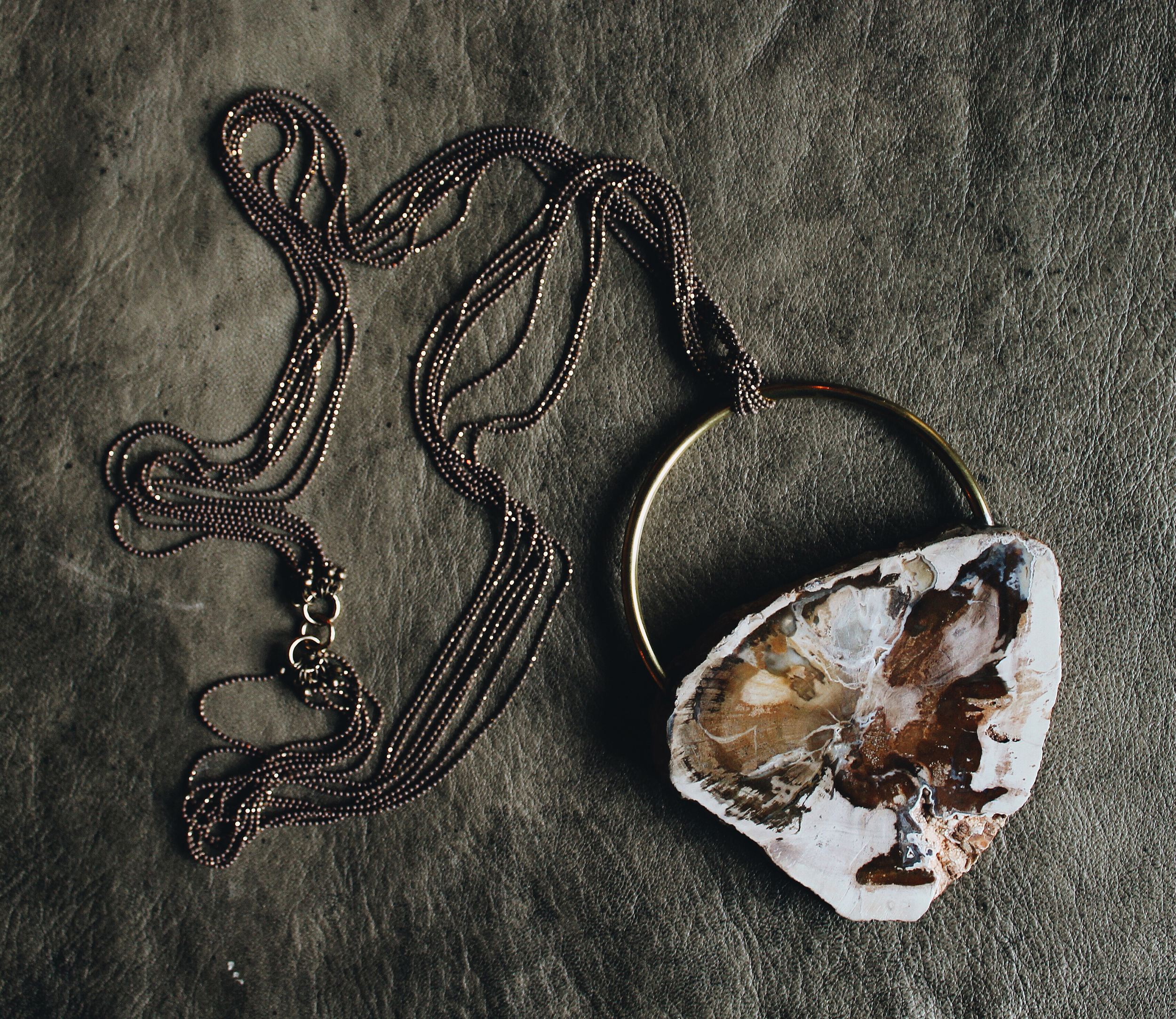 petrified wood final 1.jpg