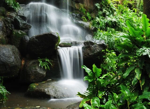 Inner Sanctuary Training Registration