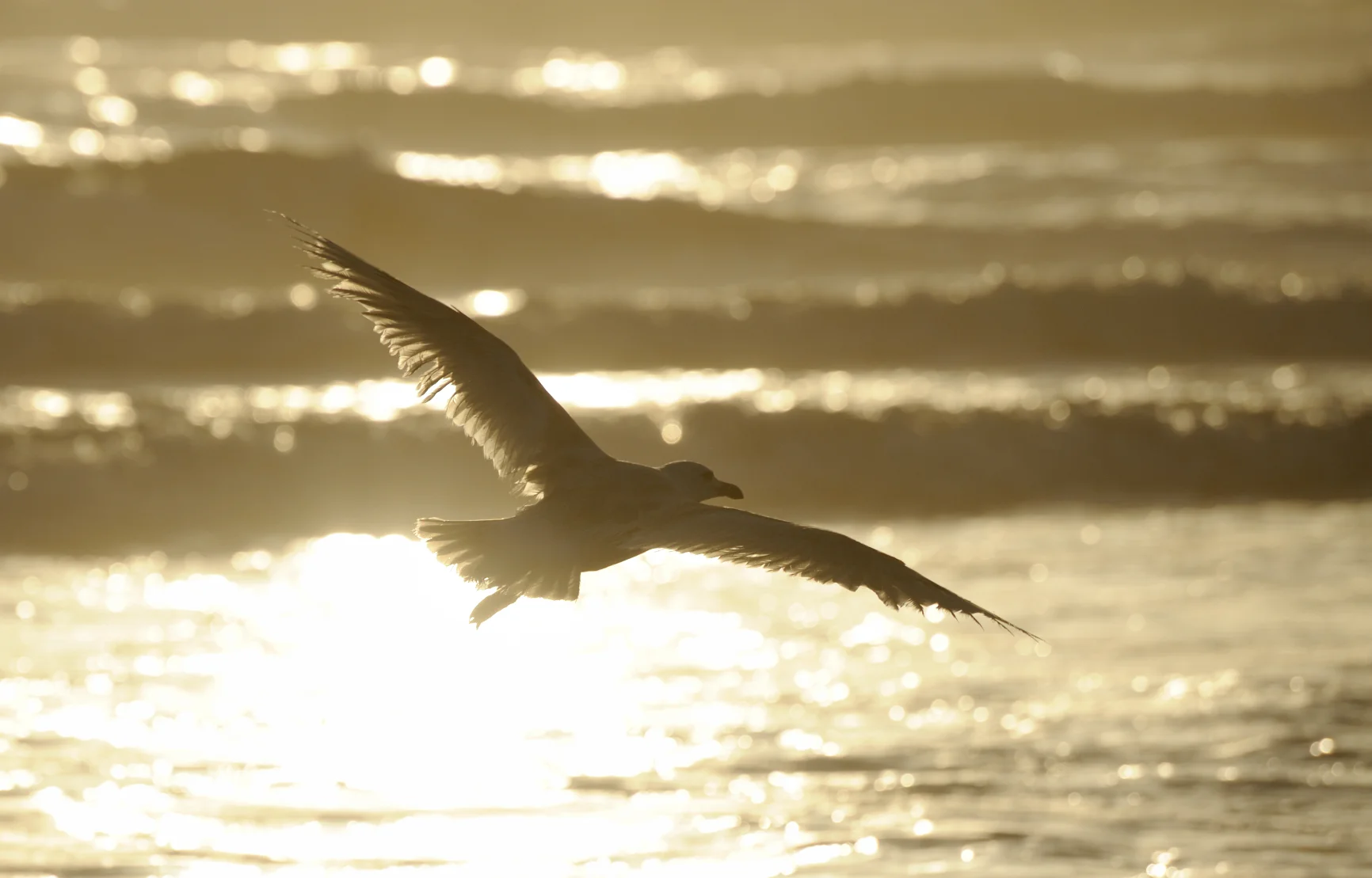 God Is Your Biggest Fan!  Finding the God Who Loves You