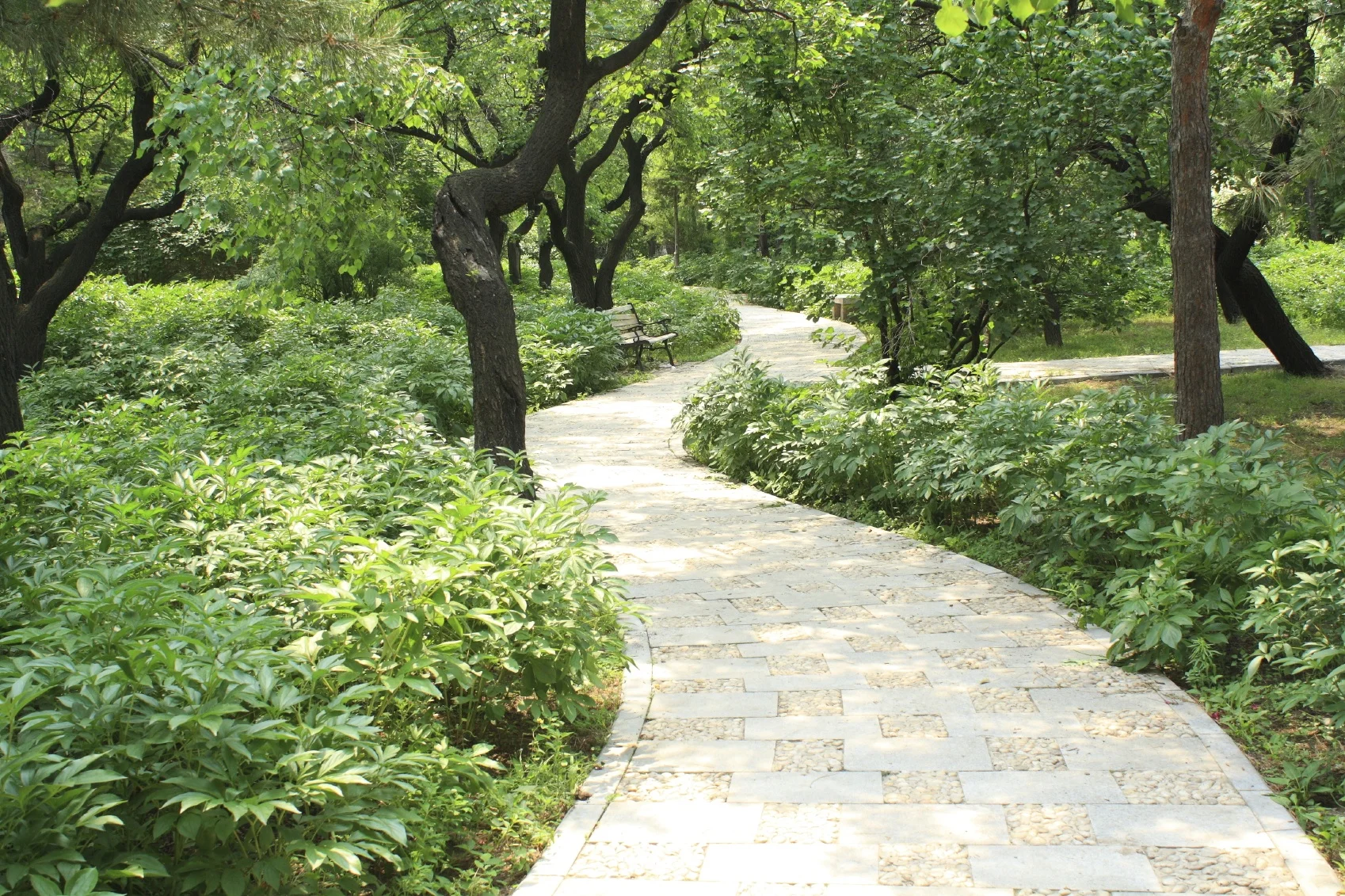 How To Beat Depression, Exhaustion & Loneliness ... The Easy, Natural & Highly Effective Way