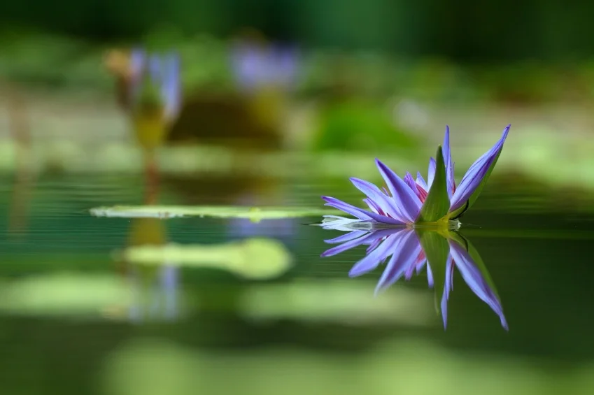 How To Deal With Anxiety, Stress, Fear and Panic Attacks ... Effectively and Without Meds (Weekend Workshop)