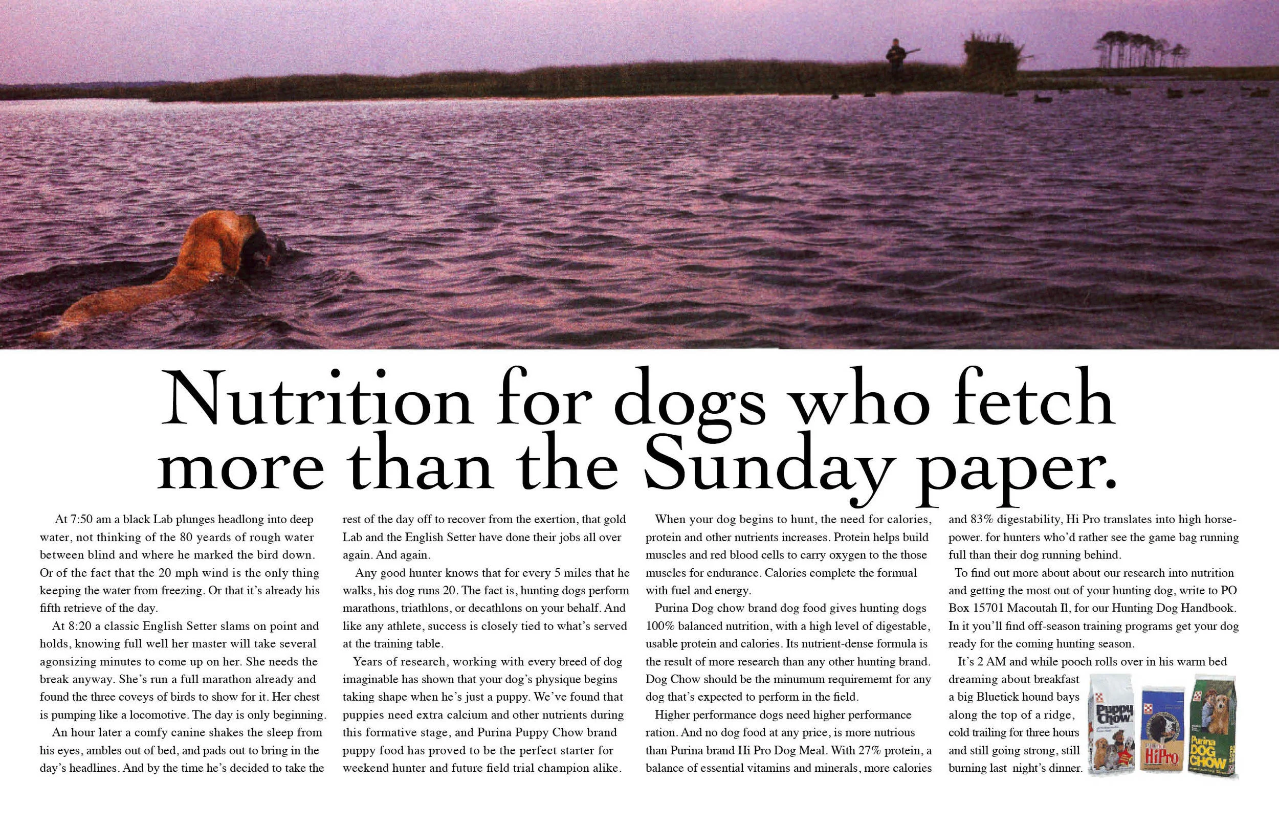 Purina "Fetch"