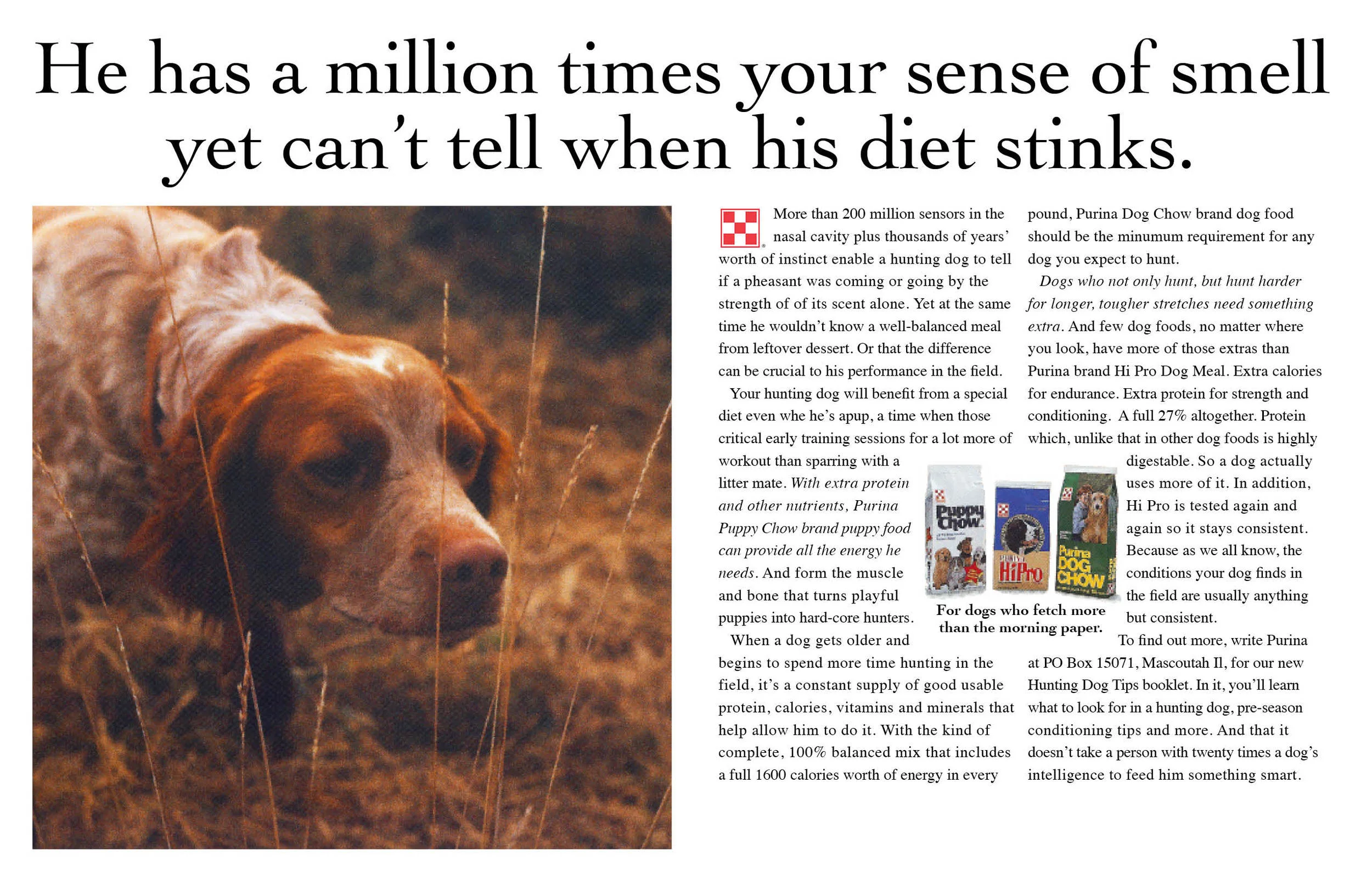 Purina, " Stinks"