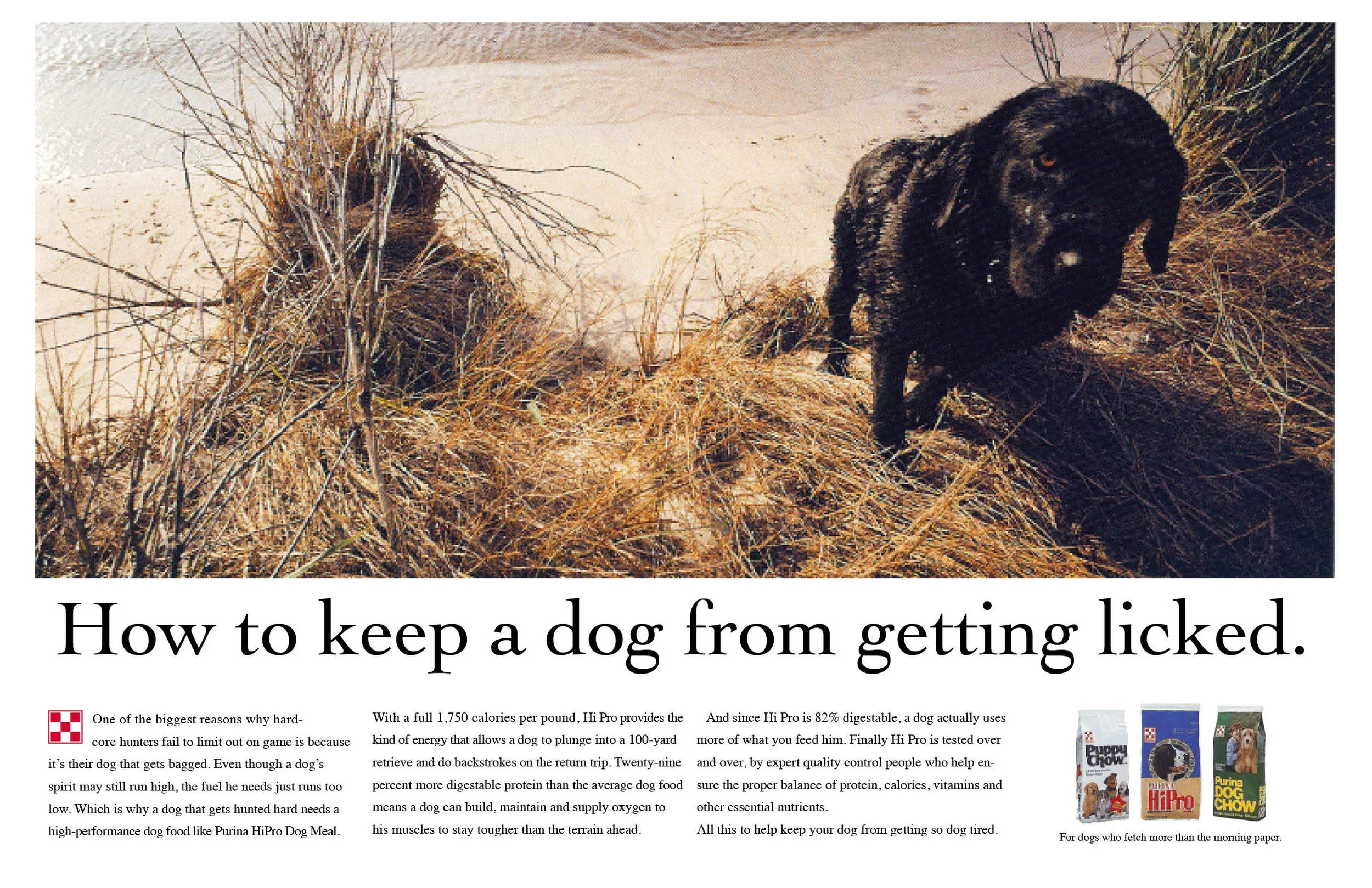 Purina, "Licked"