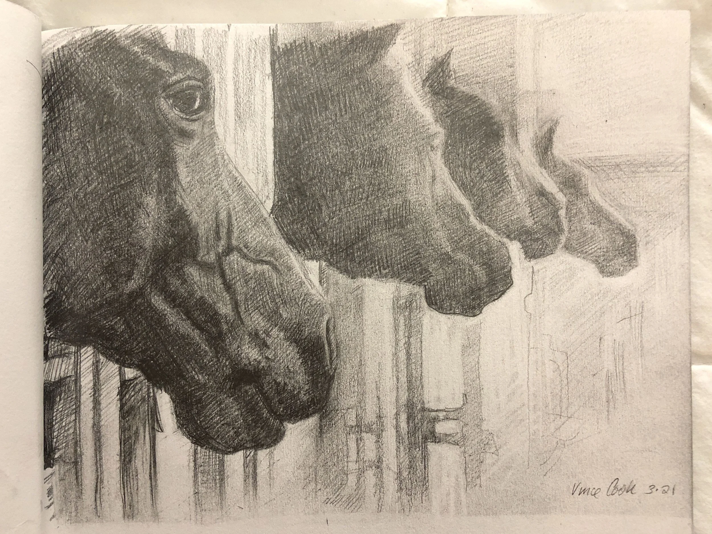  Barn Buddies- Personal Work- graphite- 11”X 14” 