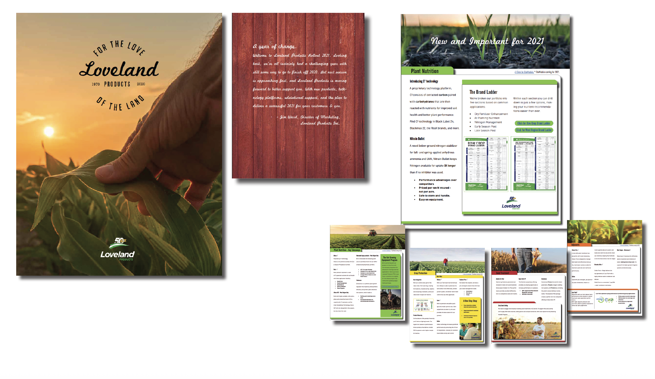 Digital Brochure