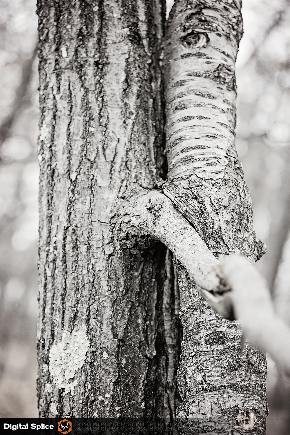 DS5_5551.jpg
