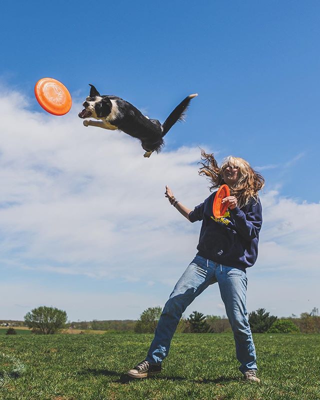 Had the pleasure of capturing the talented Samantha Valle practicing some flips with Valor.
.
.
.
.
.
#dogsofinstagram #dog #dogs #dogstagram #dogs_of_instagram #dog_features #doglover #dogsofinstaworld #doggo #dogoftheday #dogagility #agilitytrainin