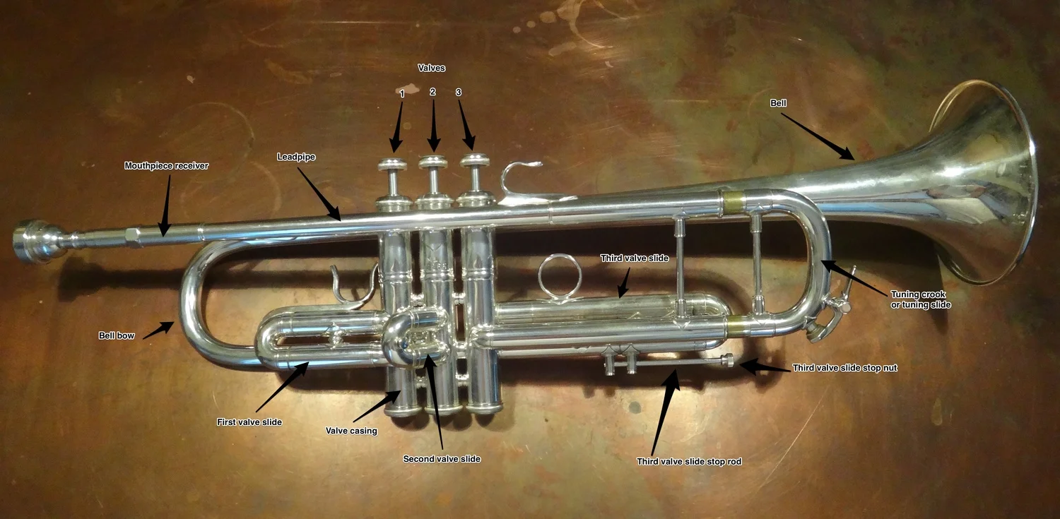 Parts Of A Trumpet Labelled At Amy Heyer Blog Parts Of A Trumpet Labelled At Amy Heyer Blog